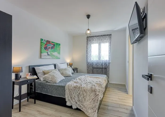 Modern Ana With Jacuzzi And Pool * Porec